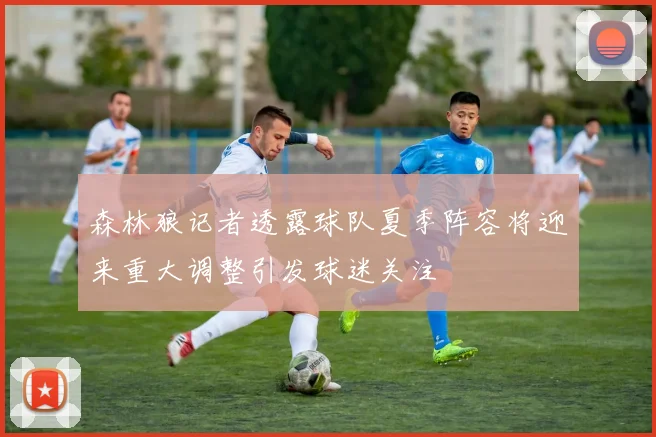 森林狼记者透露球队夏季阵容将迎来重大调整引发球迷关注