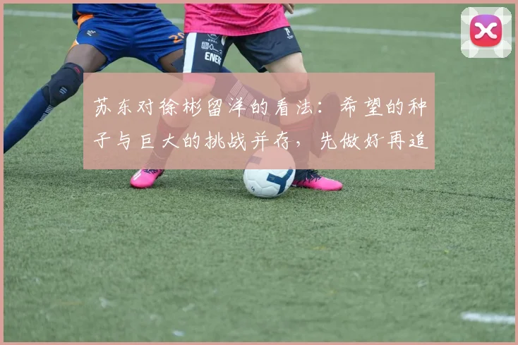 苏东对徐彬留洋的看法：希望的种子与巨大的挑战并存，先做好再追求完美